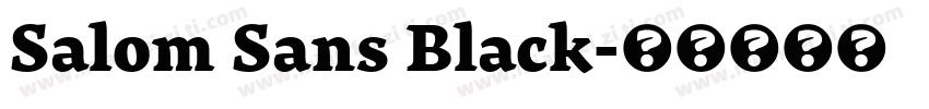 Salom Sans Black字体转换
